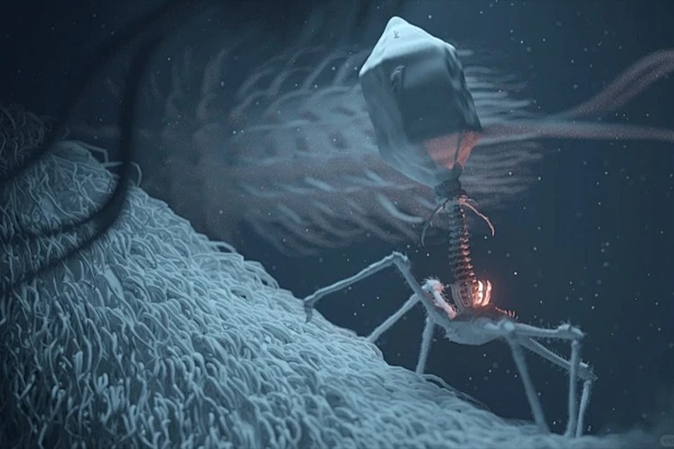 生物科技新势力崛起：噬菌体与生物基材料引领产业创新浪潮