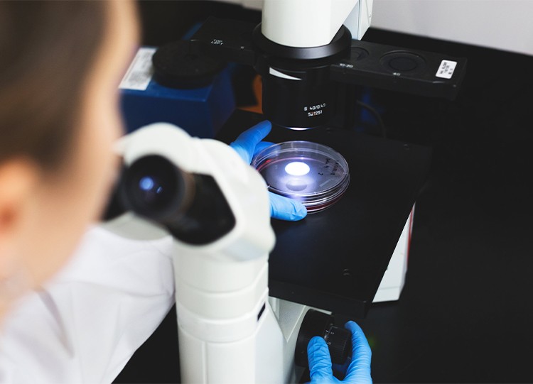 先锐达@噬菌体抗噬剂可使长尾型...