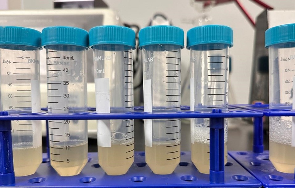 科学验证，高效解决噬菌体污染
